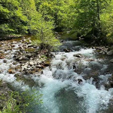 L'evidence Saint-André-de-Valborgne