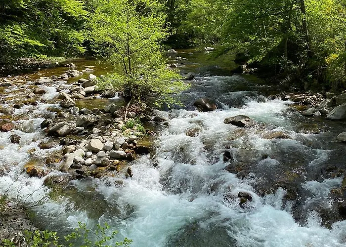 L'evidence Saint-André-de-Valborgne